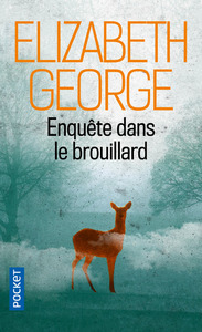 Image de Enquête dans le brouillard