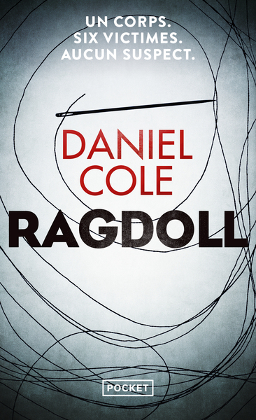 Picture of Ragdoll