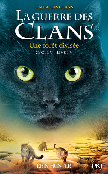 Image de La guerre des Clans - Cycle V L'aube des clans - tome 5 Une forêt divisée