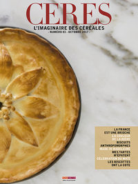 Image de CERES N°3