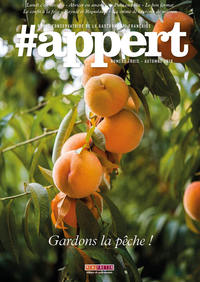 Picture of APPERT N°3
