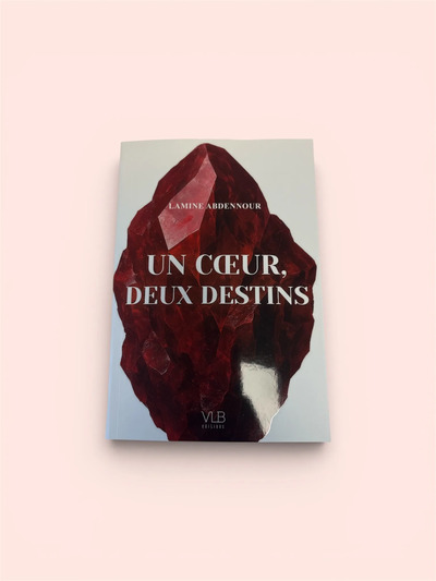 Picture of Un coeur, deux destins