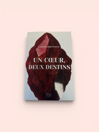 Picture of Un coeur, deux destins