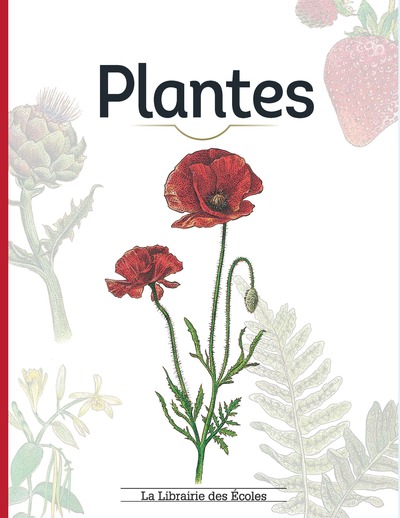 Picture of Plantes