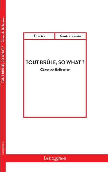 Image de Tout brûle, so what ?