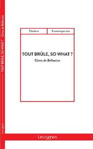 Image de Tout brûle, so what ?