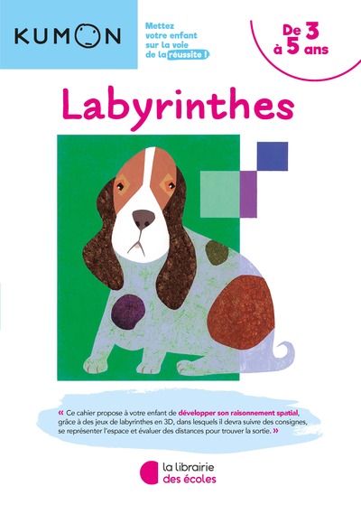 Picture of KUMON - LABYRINTHES