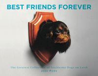 Image de BEST FRIENDS FOREVER