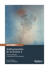 Picture of Anfractuosités de la fiction 2