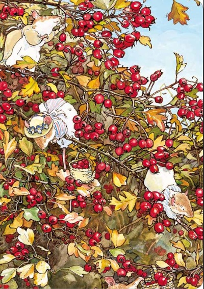 Image de Carnet Automne