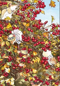 Image de Carnet Automne