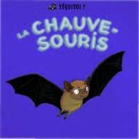 Image de La chauve-souris