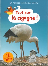 Image de Tout sur la cigogne !