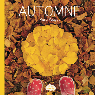 Picture of Ptit land art - Automne