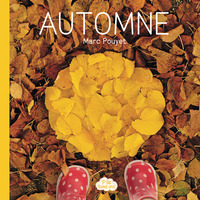 Picture of Ptit land art - Automne