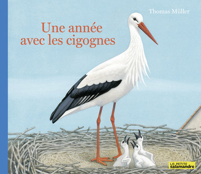 Image de Une année avec les cigognes