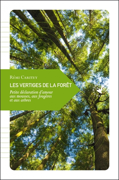 Picture of Les Vertiges de la forêt