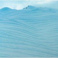 Picture of True North /anglais