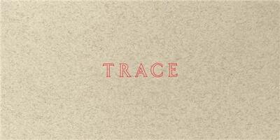 Image de Jenny Holzer: Trace /anglais