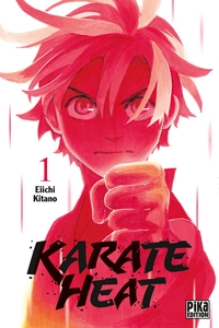 Image de Karate Heat T01