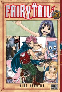 Image de Fairy Tail T20