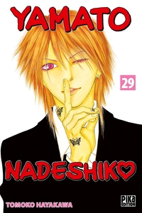 Image de Yamato Nadeshiko T29
