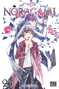 Image de Noragami T23