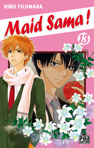 Picture of Maid Sama! T13