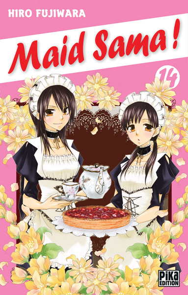 Image de Maid Sama! T14