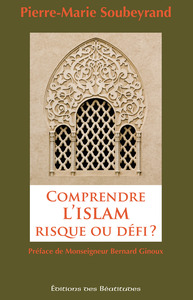 Image de Comprendre l’Islam, risque ou défi ?
