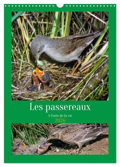 Picture of Les passereaux à l'orée de la vie (Calendrier mural 2026 DIN A3 horizontal), CALVENDO calendrier mensuel