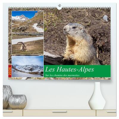 Image de Les Hautes-Alpes sur les chemins des marmottes  (Calendrier mural 2026 DIN A2 vertical) calendrier de bureau