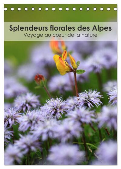 Image de Splendeurs florales des Alpes - Voyage au coeur de la nature (Calendrier de bureau 2026 DIN A5 horizontal), CALVENDO calendrier mensuel
