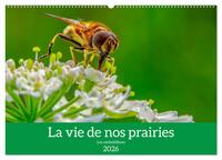 Picture of La vie de nos prairie, les ombellifères (Calendrier mural 2026 DIN A2 vertical), CALVENDO calendrier mensuel
