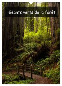 Picture of Géants verts de la forêt (Calendrier mural 2026 DIN A3 horizontal), CALVENDO calendrier mensuel