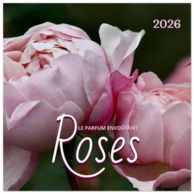 Image de LE PARFUM ENVOÛTANT DES ROSES (Calendrier mural carré 2026 30x30 cm) Calendrier double avec une page pour vos prises de notes
