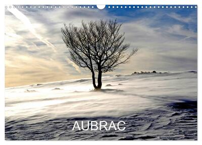 Picture of AUBRAC (Calendrier mural 2026 DIN A3 vertical), CALVENDO calendrier mensuel