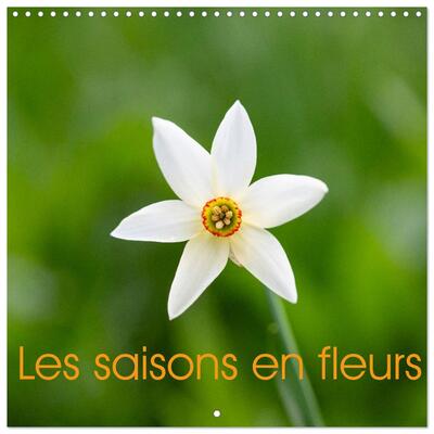 Image de Les saisons en fleurs (Calendrier mural carré 2026 30x30 cm) Calendrier double avec une page pour vos prises de notes