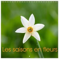 Image de Les saisons en fleurs (Calendrier mural carré 2026 30x30 cm) Calendrier double avec une page pour vos prises de notes