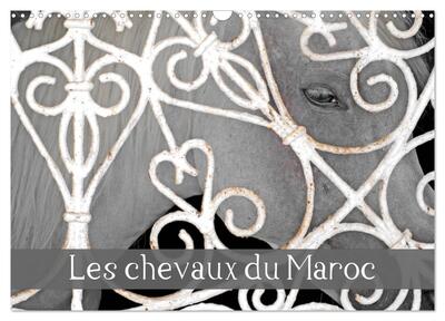 Picture of Les chevaux du Maroc (Calendrier mural 2026 DIN A3 vertical), CALVENDO calendrier mensuel