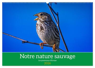 Image de Notre nature sauvage, les passereaux d'Europe (Calendrier mural 2026 DIN A2 vertical), CALVENDO calendrier mensuel