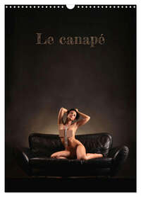 Picture of Le canapé (Calendrier mural 2026 DIN A3 horizontal), CALVENDO calendrier mensuel