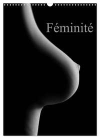 Picture of Féminité (Calendrier mural 2026 DIN A3 horizontal), CALVENDO calendrier mensuel