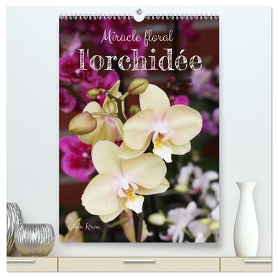 Picture of Miracle floral l'orchidée  (Calendrier mural 2026 DIN A2 horizontal) calendrier de bureau