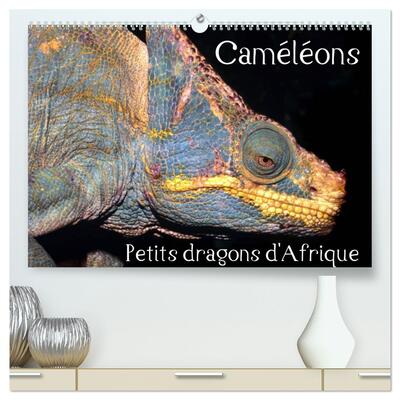 Picture of Caméléons - Petits dragons d'Afrique.  (Calendrier mural 2026 DIN A2 vertical) calendrier de bureau
