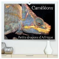 Picture of Caméléons - Petits dragons d'Afrique.  (Calendrier mural 2026 DIN A2 vertical) calendrier de bureau