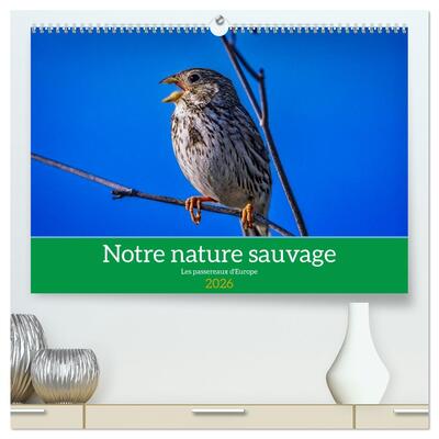 Image de Notre nature sauvage, les passereaux d'Europe  (Calendrier mural 2026 DIN A2 vertical) calendrier de bureau