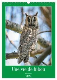 Image de Une vie de hibou les oiseaux (Calendrier mural 2026 DIN A3 horizontal), CALVENDO calendrier mensuel