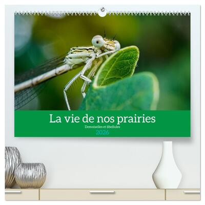 Picture of La vie de nos prairies - Demoiselles et libellules  (Calendrier mural 2026 DIN A2 vertical) calendrier de bureau