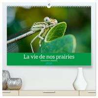 Picture of La vie de nos prairies - Demoiselles et libellules  (Calendrier mural 2026 DIN A2 vertical) calendrier de bureau